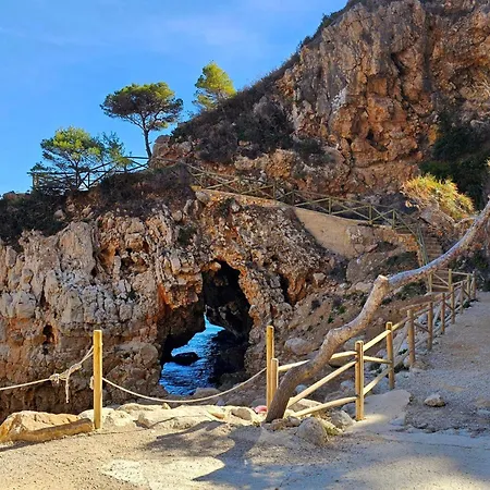 Duplex Paz Vd002 Daire